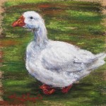 Goose, 4×4 pastel