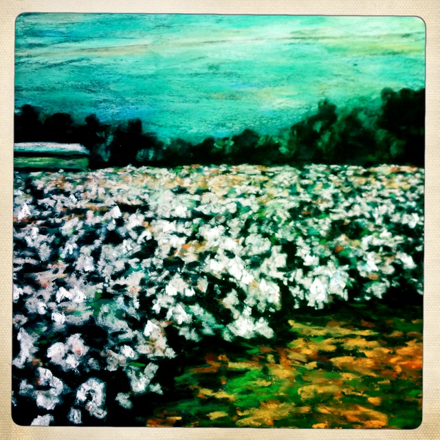 cotton field complete