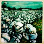 foreground cotton complete