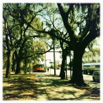 Trolley & Trees, Savannah, Ga