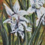 Daffodils, 5×7 pastel on card
