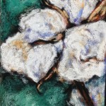 Cotton Boll, 4×6 pastel on card
