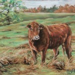 Brown Cow, 8×10 pastel in matte & frame