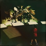 Stegosaurus, original photography