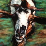 Haitian Goat, 8×10 pastel commission