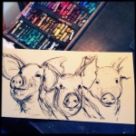 3 Little Pigs, sketch