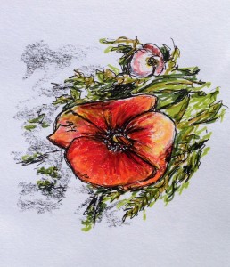 Poppies in Oxford: marker, colored pencil & ink doodle