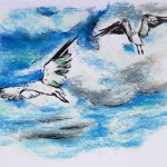 Seagulls, ink & colored pencil doodle