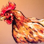 Chicken, 11×14 pastel