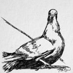 Pigeon, 4×4 ink doodle, $25