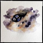 Sea snails tucked in a rock, watercolor