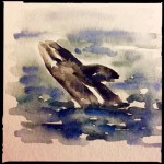 Gray whale breach, watercolor