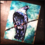 Pigeon, 12×15 pastel