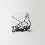 4×4 Pigeon Doodle