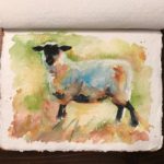 Sheep, watercolor