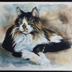 Maine Coon, 8×10 watercolor on board